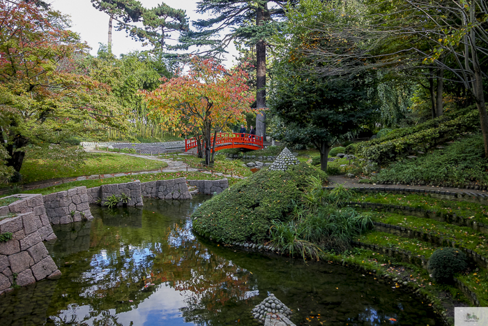 Albert Kahn Garden view of pond and Red Bridge