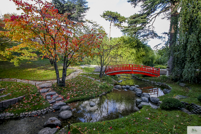 Albert Kahn, Boulogn-Billaincourt, Julia Willard, Julie Willard, fall in Paris, Paris garden, Serna magazine, Nora Serna, Japanese garden Paris, jardin parisien, Paris blog, Falling Off Bicycles