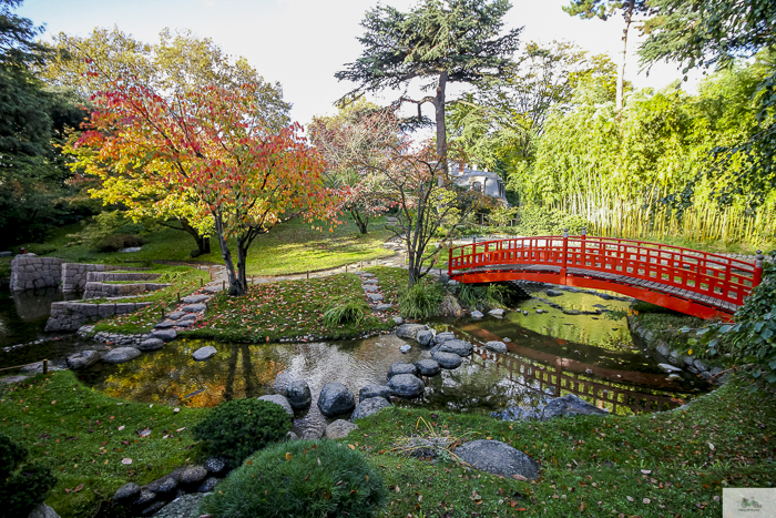 Albert Kahn, Boulogn-Billaincourt, Julia Willard, Julie Willard, fall in Paris, Paris garden, Serna magazine, Nora Serna, Japanese garden Paris, jardin parisien, Paris blog, Falling Off Bicycles