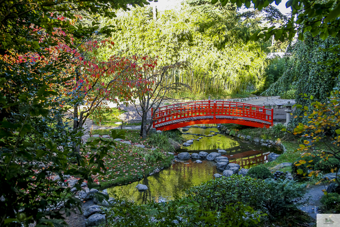 Albert Kahn, Boulogn-Billaincourt, Julia Willard, Julie Willard, fall in Paris, Paris garden, Serna magazine, Nora Serna, Japanese garden Paris, jardin parisien, Paris blog, Falling Off Bicycles