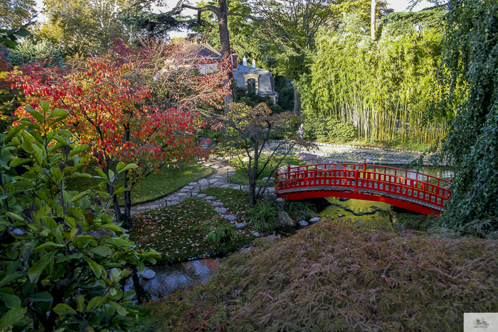 Albert Kahn, Boulogn-Billaincourt, Julia Willard, Julie Willard, fall in Paris, Paris garden, Serna magazine, Nora Serna, Japanese garden Paris, jardin parisien, Paris blog, Falling Off Bicycles