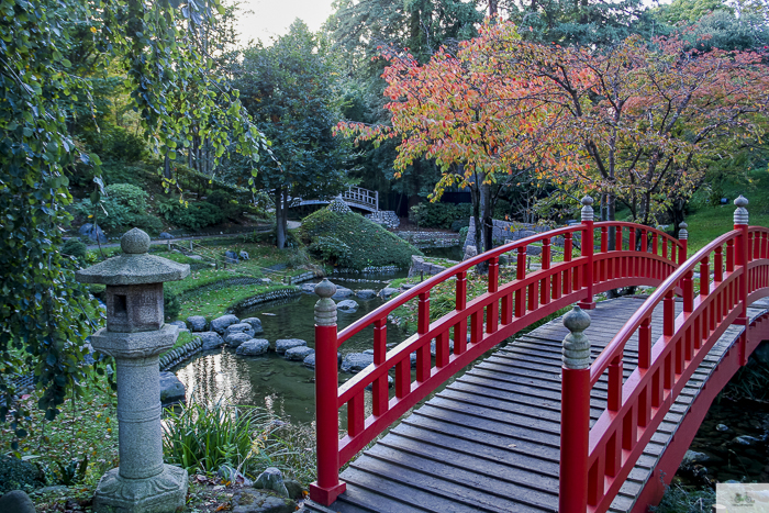 Albert Kahn, Boulogn-Billaincourt, Julia Willard, Julie Willard, fall in Paris, Paris garden, Serna magazine, Nora Serna, Japanese garden Paris, jardin parisien, Paris blog, Falling Off Bicycles