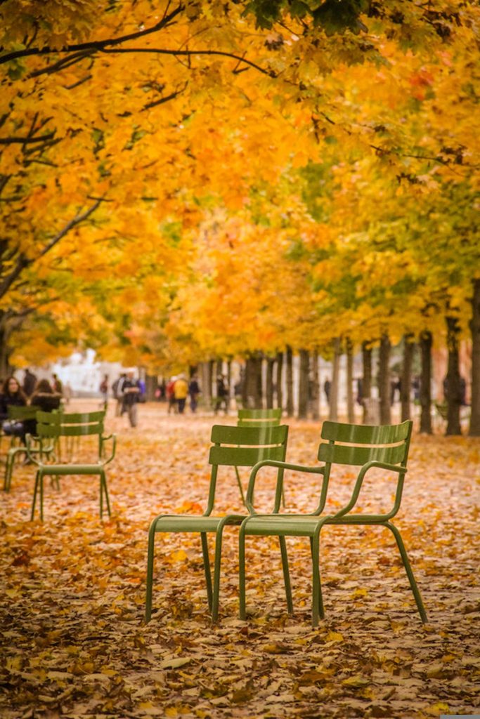 Fall in Paris photograph, fine art Paris photography, travel photo, golden autumn colors, Julia Willard, Falling Off Bicycles