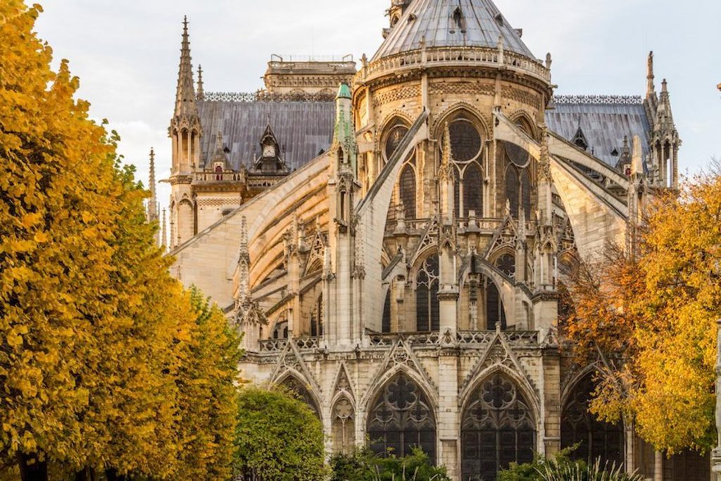 Notre Dame de Paris Fall photograph, fine art Paris photography, travel photo, golden autumn colors