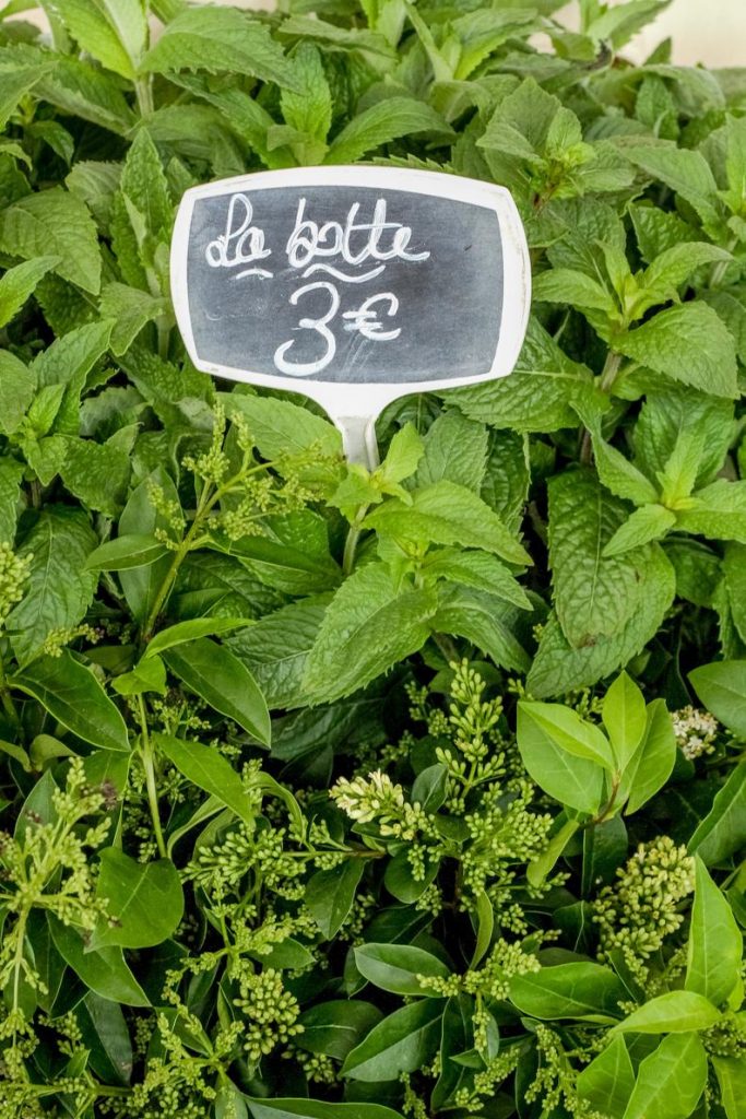 Julia Willard, Falling Off Bicycles, Food photo, fine art food photography, wall decor, farmer\'s market photography, green photo