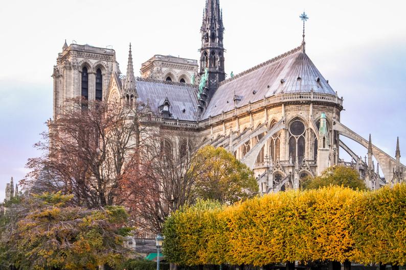 Notre Dame de Paris Fall photograph, fine art Paris photography, travel photo, golden autumn colors, Julia Willard, Julie Willard