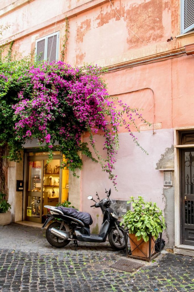 Rome, Italy door, Falling Off Bicycles, fine art travel photography, travel photo, wall decor by Julia Willard