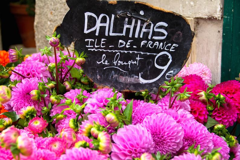 Julia Willard, Falling Off Bicycles, Paris flower photo, fine art Paris photography, travel photo, wall decor, pink Dahlia bouquet