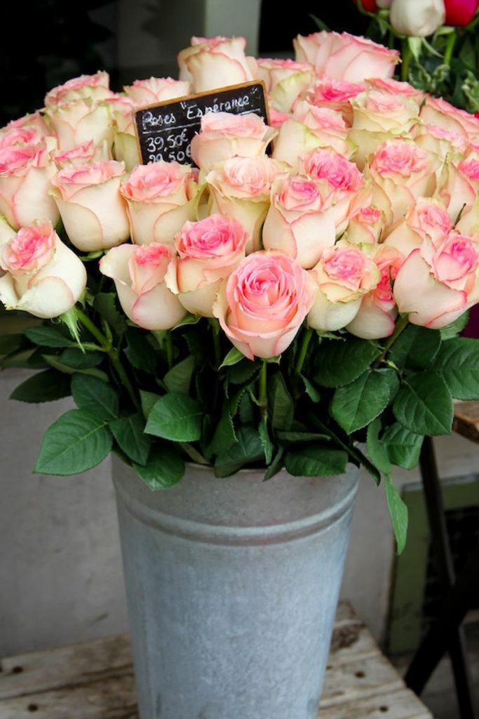 Julia Willard, Falling Off Bicycles, Paris flower photo, fine art Paris photography, Valentine\'s Day photography, wall decor, pink rose bouquets