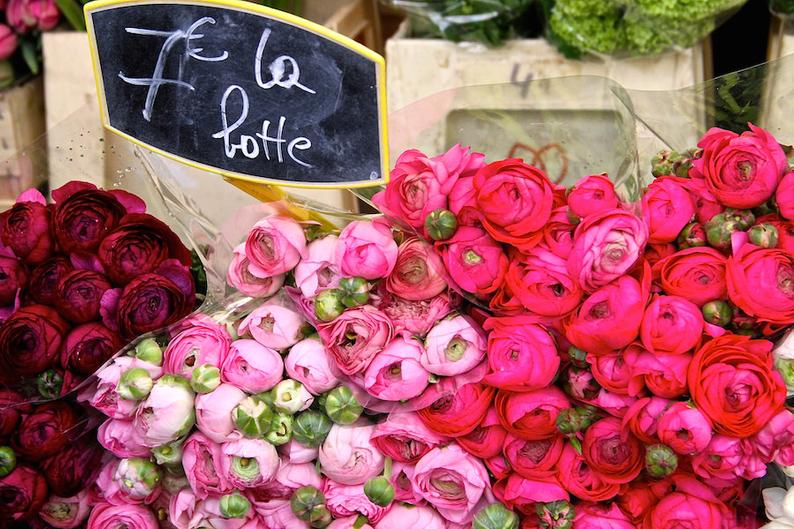 Julia Willard, Falling Off Bicycles, Paris flower photo, fine art Paris photography, Valentine\'s Day photography, wall decor, ranunculus bouquets