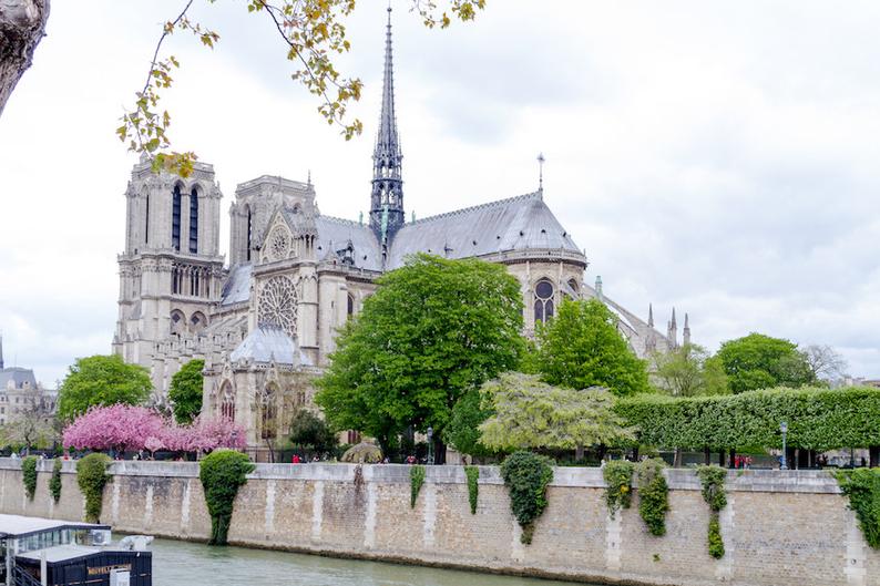 Paris flower photo, spring photography, cherry blossoms, Notre Dame Cathedral, fine art Paris photography, blossoms in Paris, wall decor