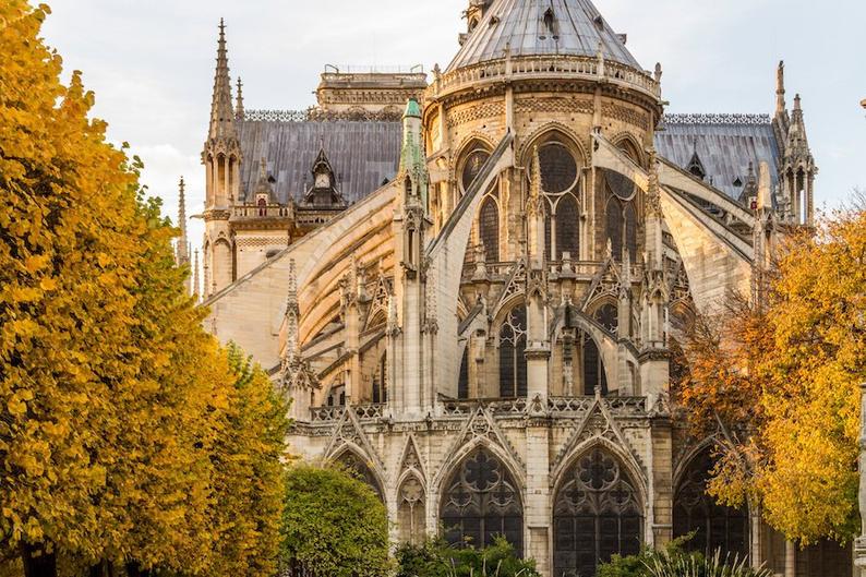 Julia Willard, Falling Off Bicycles, Notre Dame de Paris Fall photograph, fine art Paris photography, travel photo, golden autumn colors