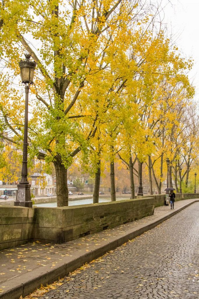 Fall in Paris photograph, fine art Paris photography, travel photo, golden autumn colors