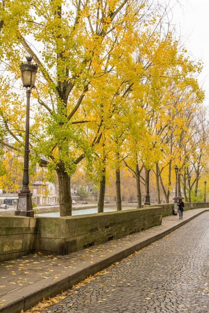 Julia Willard, Falling Off Bicycles, Fall in Paris photograph, fine art Paris photography, travel photo, golden autumn colors