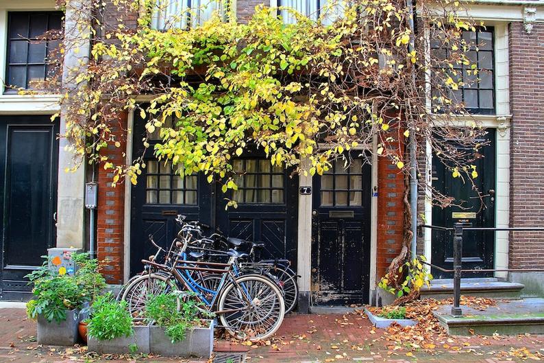 Julie Willard, Julia Willard, Falling Off Bicycles, Amsterdam bike photo, bike parking, fall bicycle photo, fine art Netherlands photography, travel photo, wall decor