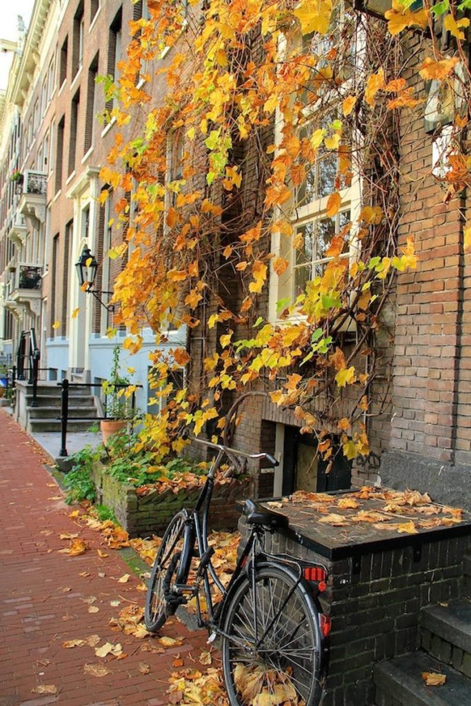 Falling Off Bicycles, Julia Willard, Julie Willard, Amsterdam bike photo, solo bike parking, fall bicycle photo, fine art Netherlands photography, travel photo, wall decor