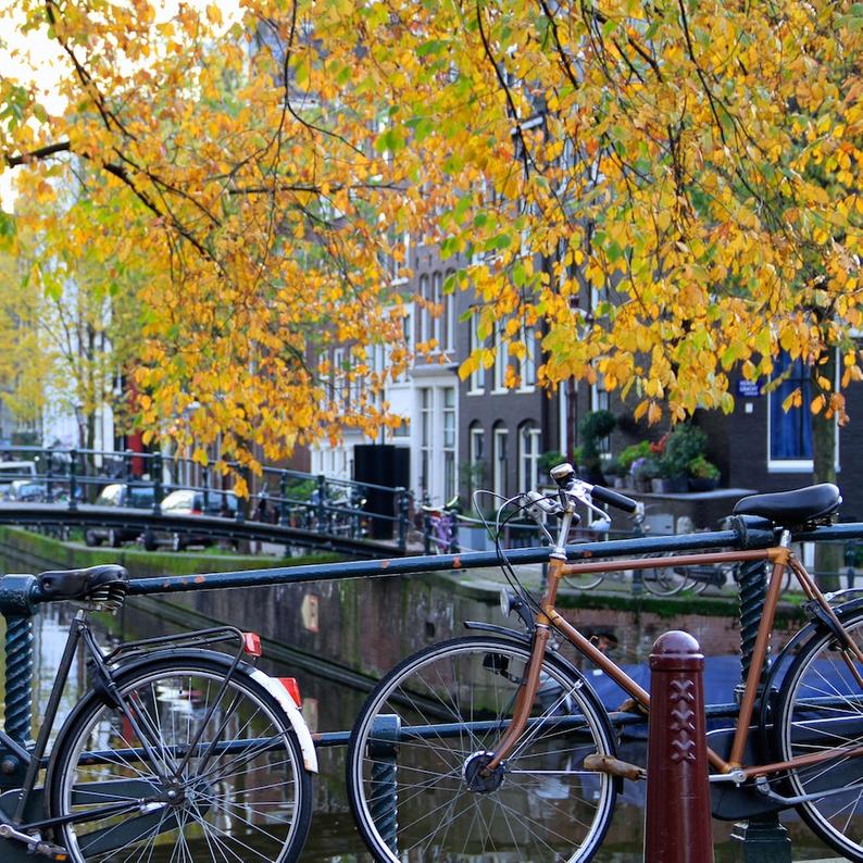 Julia Willard, Falling Off Bicycles, Amsterdam bike photo, bike parking, fall bicycle photo, fine art Netherlands photography, travel photo, wall decor