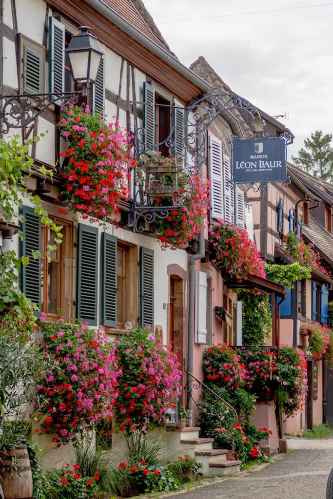 Colorful Alsace, window boxes in France, France photo, Falling Off Bicycles travel photo, fine art photography, Eguisheim photo