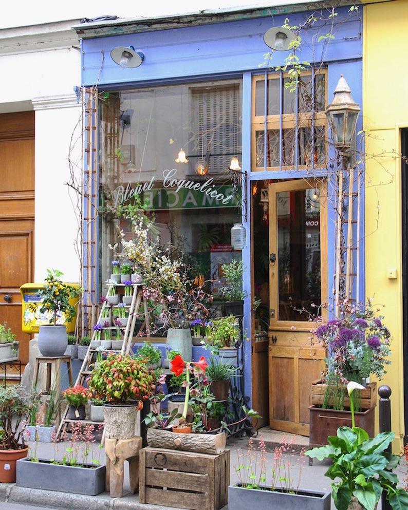 Classic Parisian florist façade, fine art paris photography, travel photo, Bleuet Coquelicot