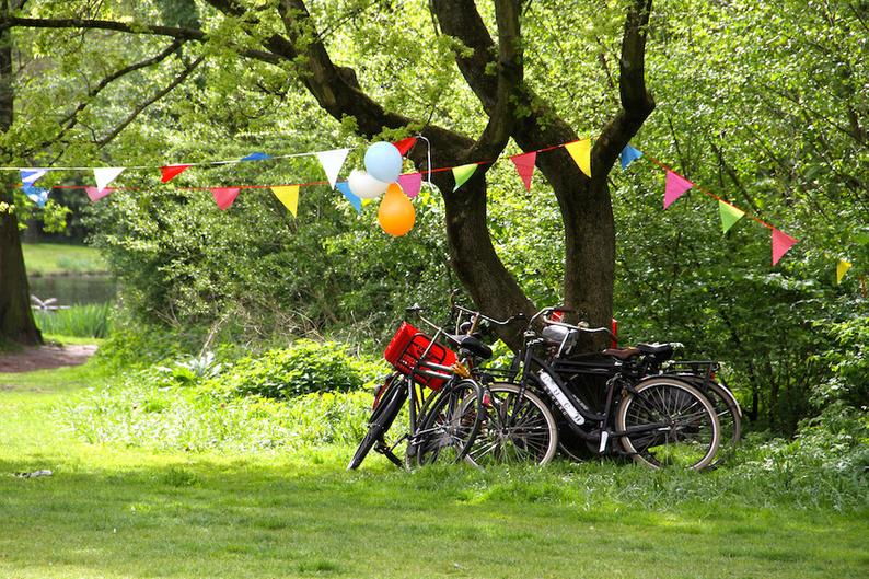 Amsterdam bike photo, bike parking, summer bicycle photo, fine art Netherlands photography, travel photo, Vondelpark, Julia Willard, Julie Willard, Falling Off Bicycles