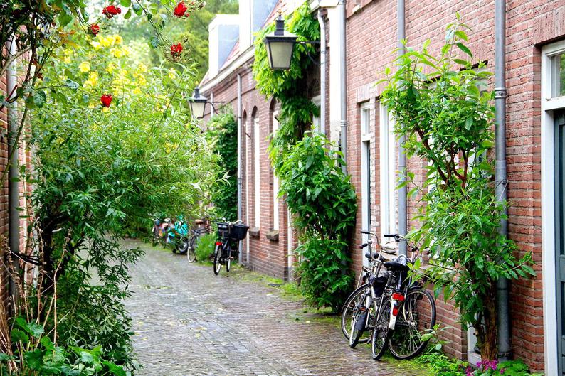 Utrecht bike photo, bike parking, summer bicycle photo, fine art Netherlands photography, travel photo, wall decor