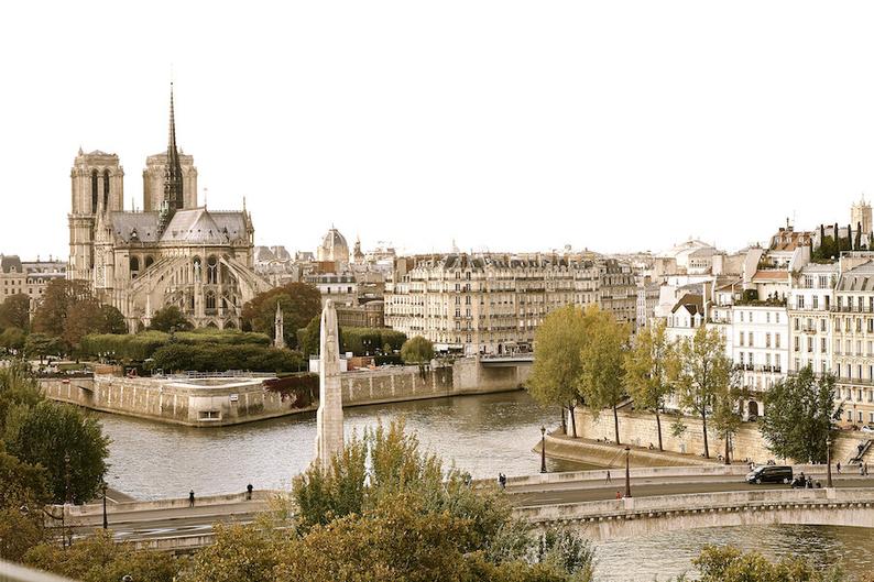 Parisian aerial view Notre Dame de Paris, fine art paris photography, travel photo, wall decor, Falling Off Bicycles, Julia Willard, Julie Willard