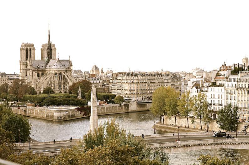 Parisian aerial view Notre Dame de Paris, fine art paris photography, travel photo, wall decor