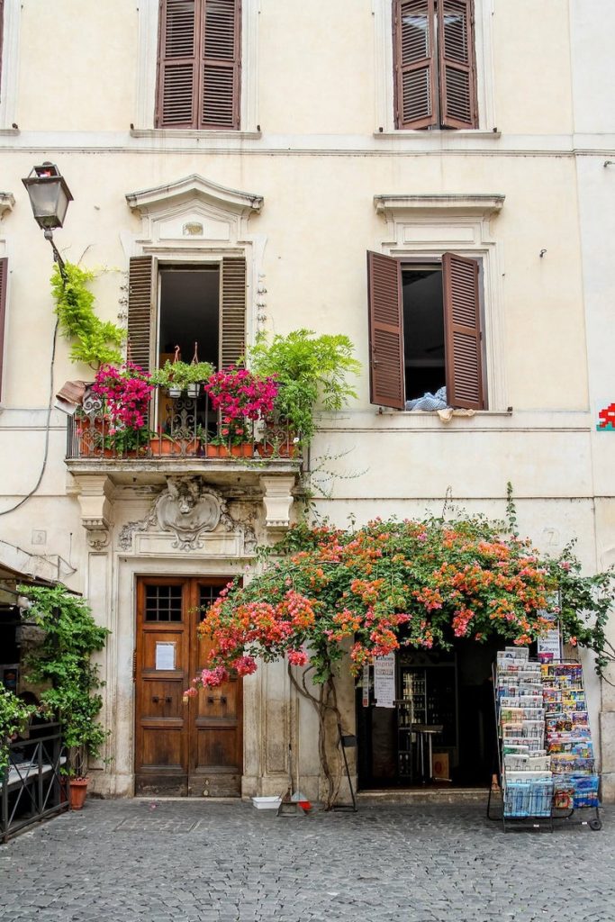 Rome, Italy door, Falling Off Bicycles, bougainvillea flower photography, travel photo, wall decor by Julia Willard, Julia Arias