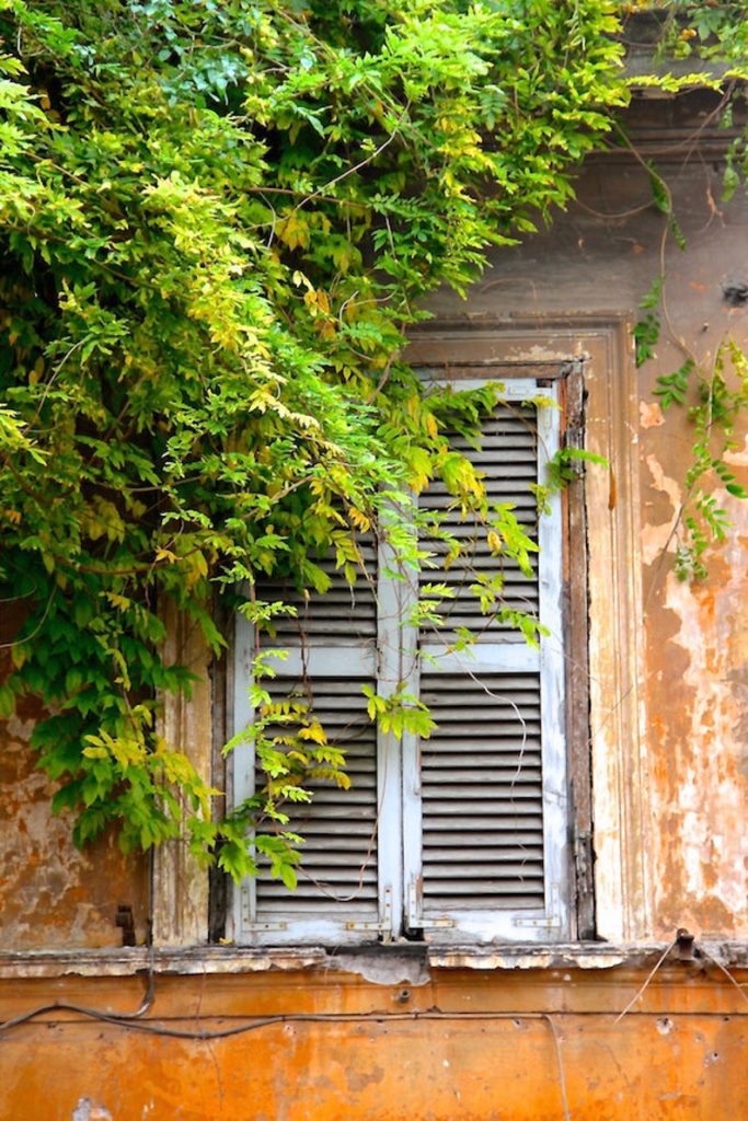 Rome, Italy window shutter, fine art travel photography, travel photo, wall decor by Julia Willard