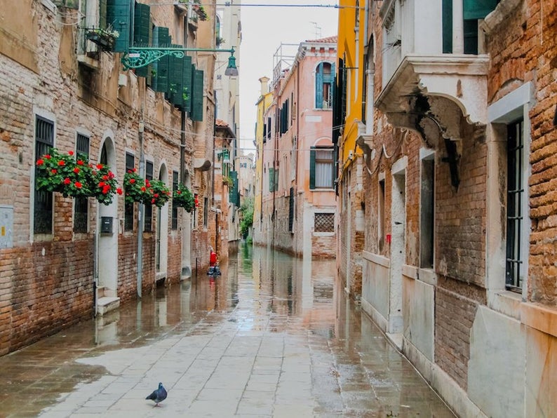 Venice flood, Italy scene, fine art travel photography, travel photo, wall decor by Julia Willard