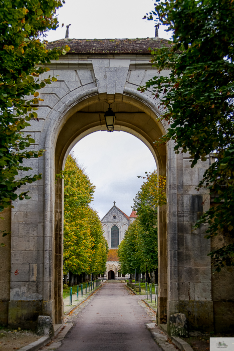 Julia Willard, Julie Willard, Julia Arias, Falling Off Bicycles, My Bourgogne, Yonne, Auxerre, Chablis, Noyers, Vezelay, wine, Hotel du Vieux Moulin, fall leaves, wine trip, Paris getaway, Abbaye de Pontigny, Hostellerie du Clos, Auxerre