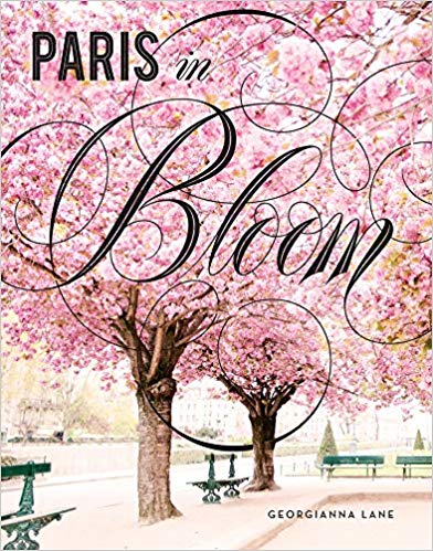 Books on France, French blog, France blog, Paris blog, Paris in Bloom, Notre Dame de Paris, Peter Mayle