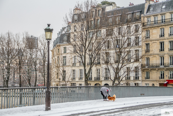 Julia Willard, Julie Willard, Julia Arias, Falling Off Bicycles, Paris blogger, Paris blog, France blog, Paris snow, winter in Paris, Saint Michel, Notre Dame, Paris metro, Ile Saint Louis