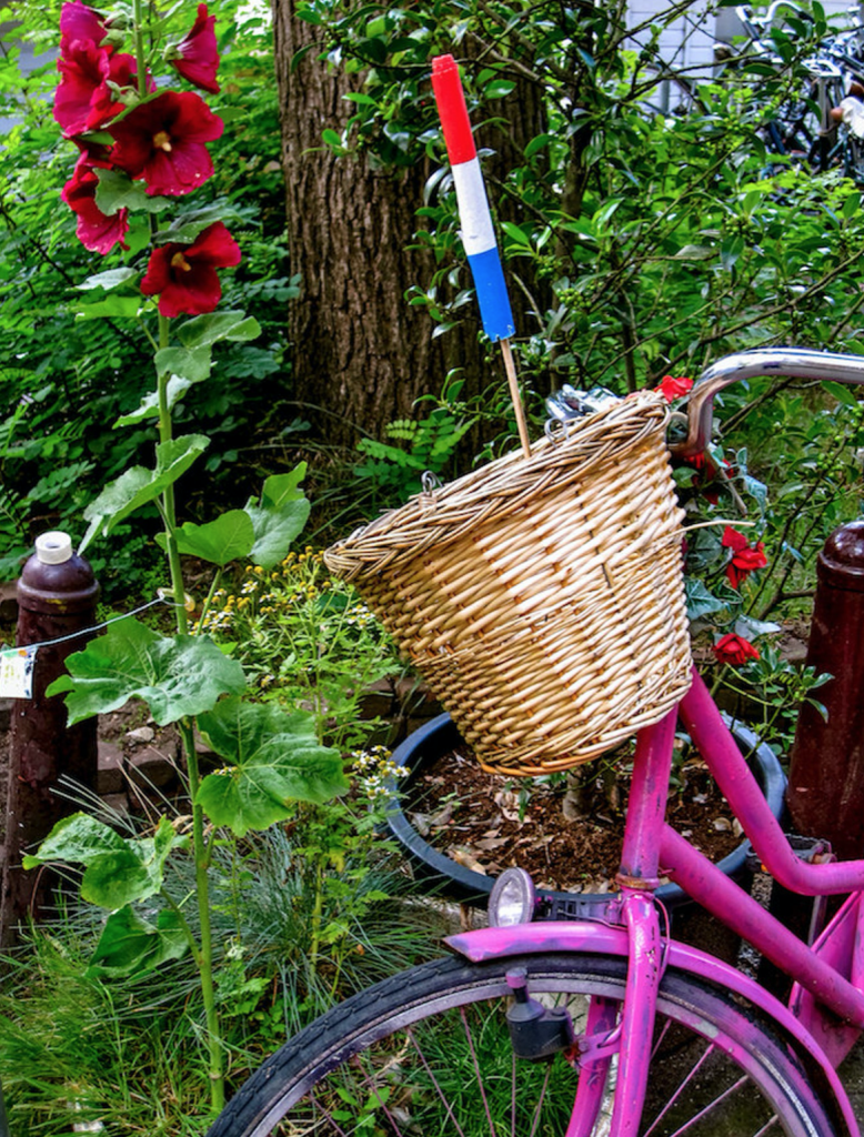 Falling Off Bicycles, Julia Willard, Amsterdam, boat on a canal, grachten, Amsterdam photography, bike parking, pink bike, Dutch bike