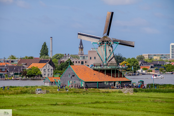 Julia Willard, Julie Willard, Falling Off Bicycles, Julia Arias, Netherlands, summer, Amsterdam, Zaanse Schans, day trip Amsterdam, Dutch countryside, travel in Holland, Holland, Holland pics, noord Holland, windmills, Dutch windmills, cycle Holland, bike, bicycle, bike paths Netherlands