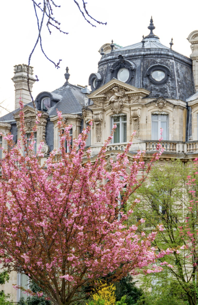 Parc Monceau, Paris photo, Julia Willard, Falling Off Bicycles, fine art Paris photography, travel photo, cherry blossoms in Paris