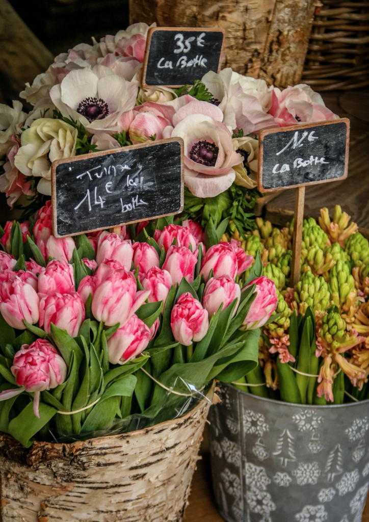 Falling Off Bicycles, Paris, Market in Paris, Julia Willard, Julie Willard, tulips