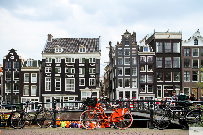 Julia Willard, Julie Willard, Falling Off Bicycles, Julia Arias, Netherlands, spring, Amsterdam, travel in Holland, Holland, Holland pics, noord Holland, King's Day, cycle Holland, bike, bicycle, bike paths Netherlands