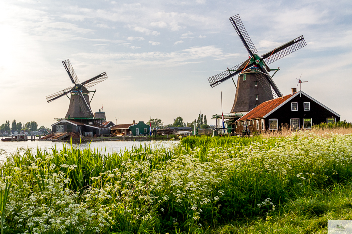 Julia Willard, Julie Willard, Julia Arias, Dutch windmills, windmills, Falling Off Bicycles, cycle Holland, biking Amsterdam, Amsterdam day trip, Spring in Holland, Netherlands spring,Zaanse Schans