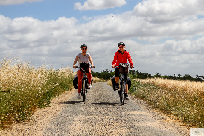 Julia Willard, Julie Willard, Falling Off Bicycles, Julia Arias, bike in France, sunflower field, cycle France, Loire Valley