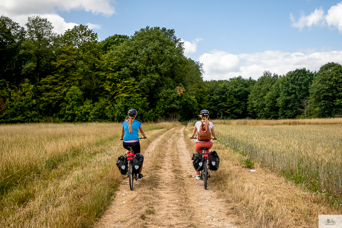 Julia Willard, Julie Willard, Falling Off Bicycles, Julia Arias, bike in France, sunflower field, cycle France, Loire Valley