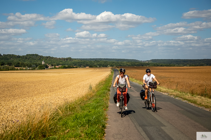 Julia Willard, Julie Willard, Falling Off Bicycles, Julia Arias, bike in France, sunflower field, cycle France, Loire Valley