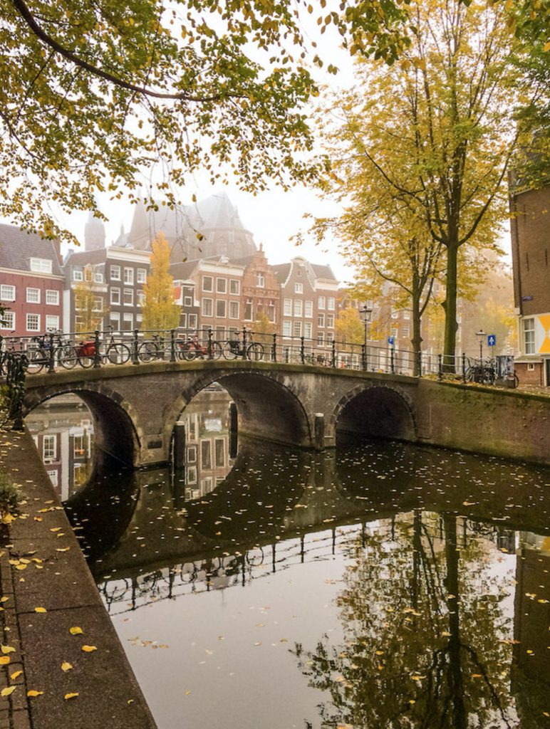 Julia Willard, Julie Willard, Amsterdam, Netherlands, fall photo, yellow leaves, fall colors Amsterdam