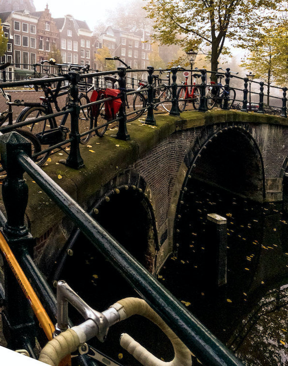 Julia Willard, Julie Willard, Amsterdam, Netherlands, fall photo, yellow leaves, fall colors Amsterdam