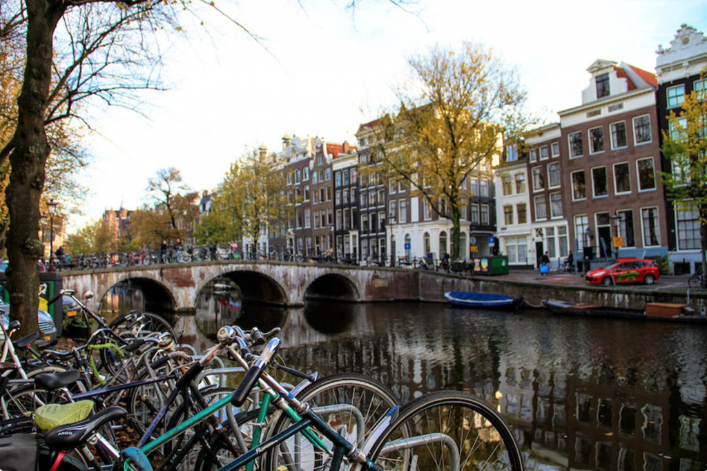 Julia Willard, Julie Willard, Amsterdam, Netherlands, fall photo, yellow leaves, fall colors Amsterdam