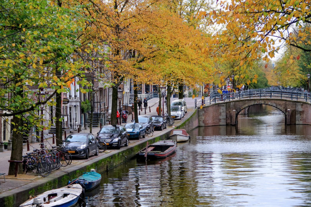 Julia Willard, Julie Willard, Amsterdam, Netherlands, fall photo, yellow leaves, fall colors Amsterdam