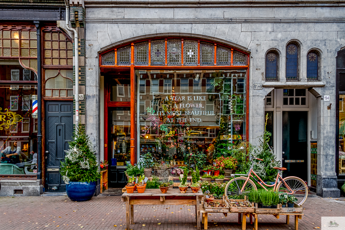 Julia Willard, Julie Willard, Falling Off Bicycles, Julia Arias, Europe photography, Amsterdam, Christmas in Amsterdam, bike in Amsterdam