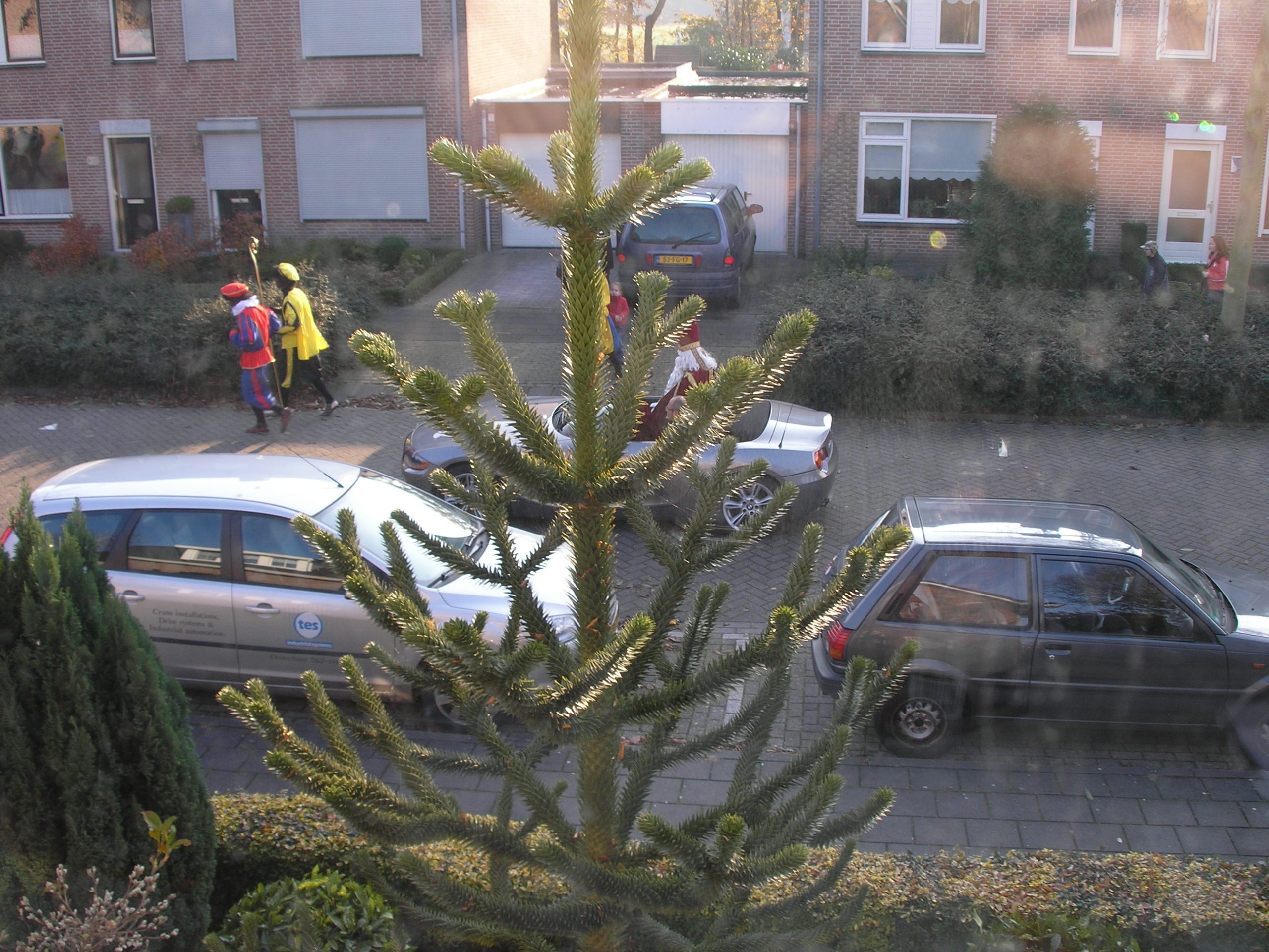 OLYMPUS DIGITAL CAMERA Julia Willard, Falling Off Bicycles, Julie Willard, Julia Arias, Dutch tradition, Sinterklaas
