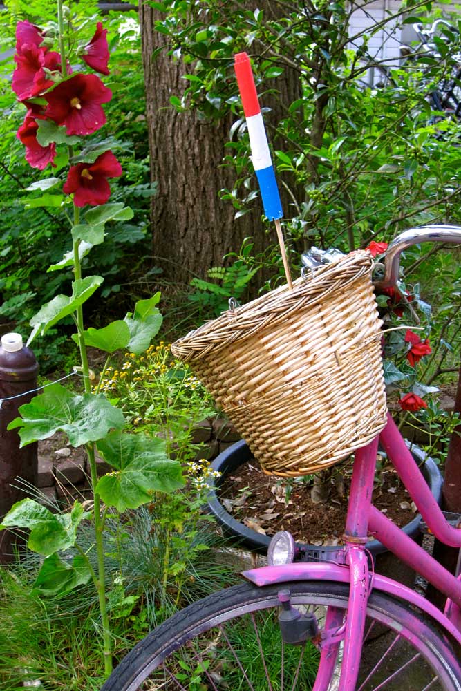 Bike with basket and flag