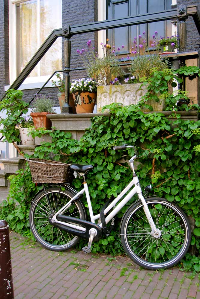 Amsterdam Falling Off Bicycles